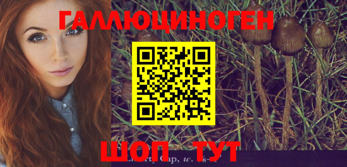 Галлюциногенные грибы GOLDEN TEACHER Евпатория