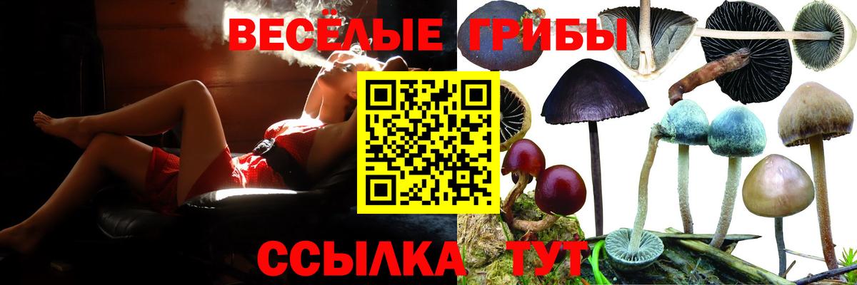 Евпатория  Галлюциногенные грибы Psilocybe  Вход с VPN 